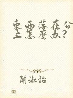 东西落在公交车上怎么办?
