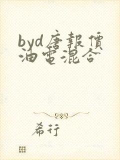 byd唐报价 油电混合