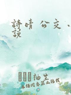 诗晴 公交 小说