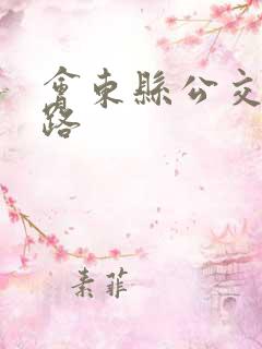 会东县公交车线路