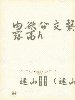肉欲公交系列暴露高h