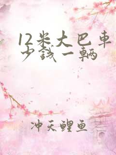 12米大巴车多少钱一辆