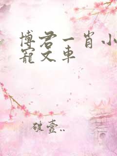 博君一肖小说甜宠文车