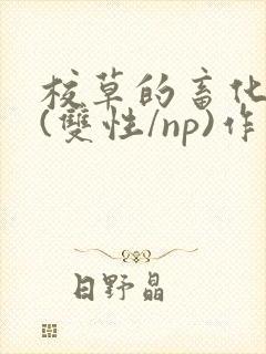 校草的畜化调教(双性/np)作者:倾曜