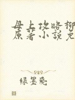 母上攻略柳如裳原著小说免费阅读 母上攻略柳如裳原著小说免费阅读