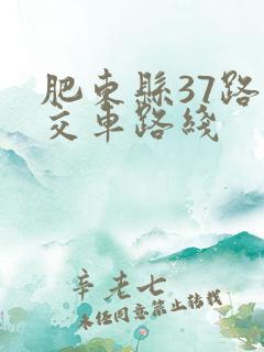 肥东县37路公交车路线