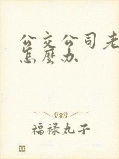 公交公司老年卡怎么办