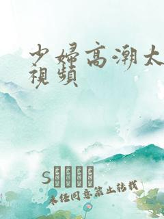 少妇高潮太爽了视频
