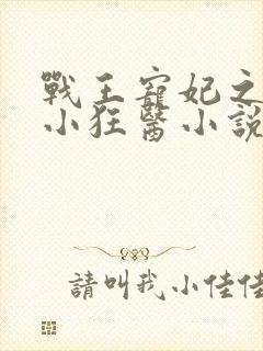 战王宠妃之倾世小狂医小说