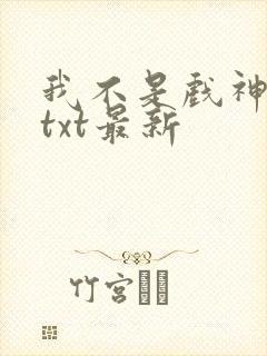 我不是戏神小说txt最新