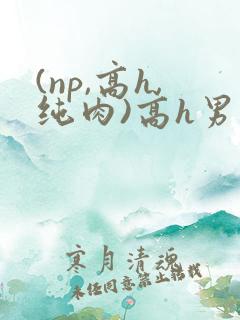 (np,高h,纯肉)高h男男