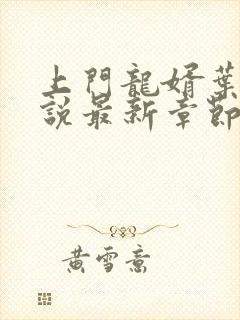 上门龙婿叶辰小说最新章节列表列表