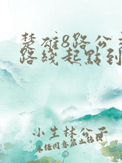 楚雄8路公交车路线起点到终点