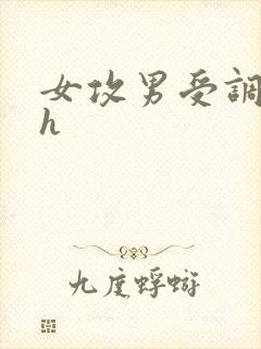 女攻男受调教文h
