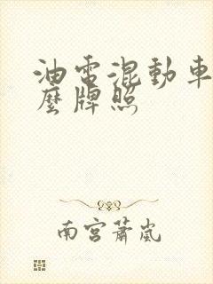 油电混动车上什么牌照