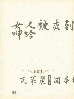 女人被爽到娇喘呻吟