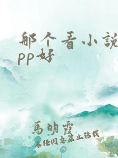 那个看小说的app好