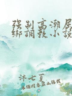 强制高潮屈辱捆绑调教小说