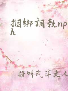 捆绑调教np高h