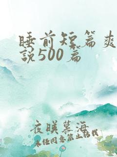 睡前短篇爽文小说500篇