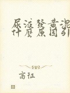 尿液发黄混浊是什么原因引起的