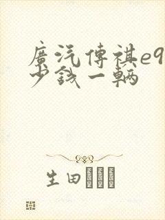 广汽传祺e9多少钱一辆