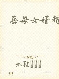 岳母女婿赵悦