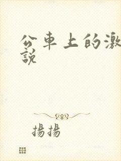 公车上的激情小说