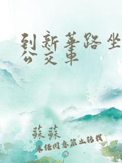 到新华路坐几路公交车