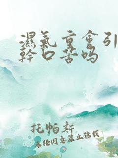 湿气重会引起口干口苦吗