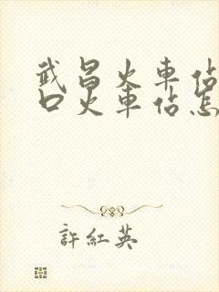 武昌火车站到汉口火车站怎么走