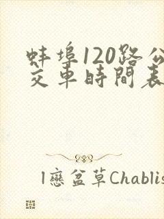 蚌埠120路公交车时间表