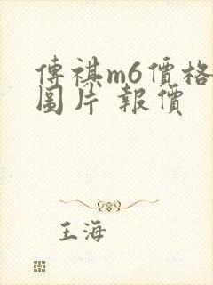 传祺m6价格及图片 报价