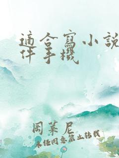 适合写小说的软件手机