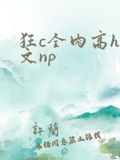 狂c全肉高h辣文np