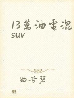 13万油电混动suv