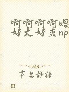 啊啊啊啊嗯嗯嗯好大好爽np
