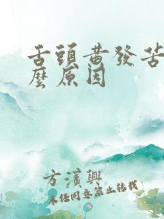 舌头黄发苦是什么原因