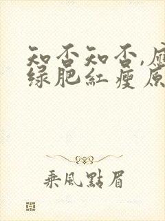 知否知否,应是绿肥红瘦原著小说