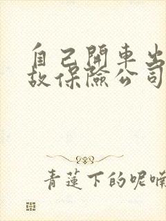 自己开车出了事故保险公司赔吗