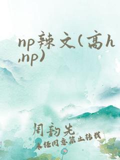np辣文(高h,np)