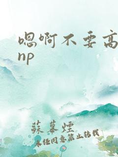 嗯啊不要高h np