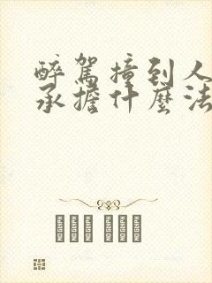 醉驾撞到人需要承担什么法律责任
