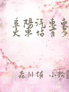 阜阳汽车东站离火车站有多远