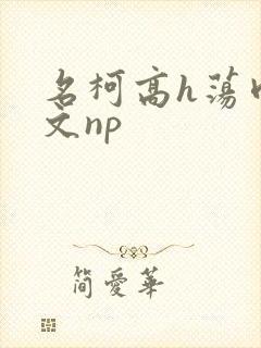 名柯高h荡肉爽文np