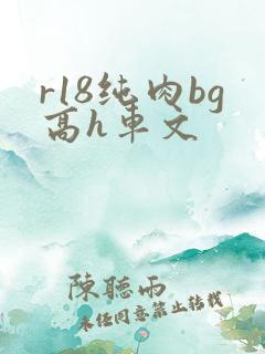 r18纯肉bg高h车文
