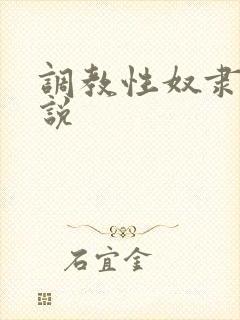 调教性奴隶h小说