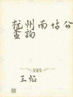 杭州南站公交车查询