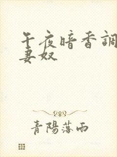 午夜暗香调教夫妻奴