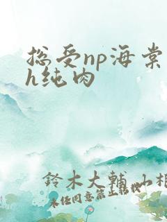总受np海棠高h纯肉